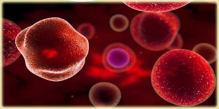 Стволовые клетки крови